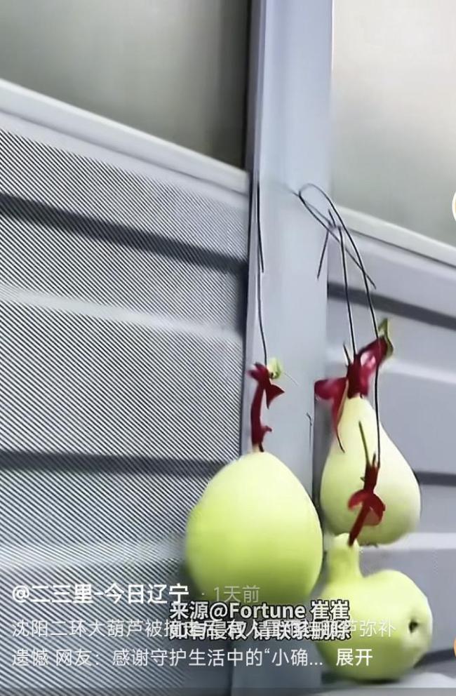 沈陽(yáng)二環(huán)“葫蘆二弟”已上線 新葫蘆接力登場(chǎng)