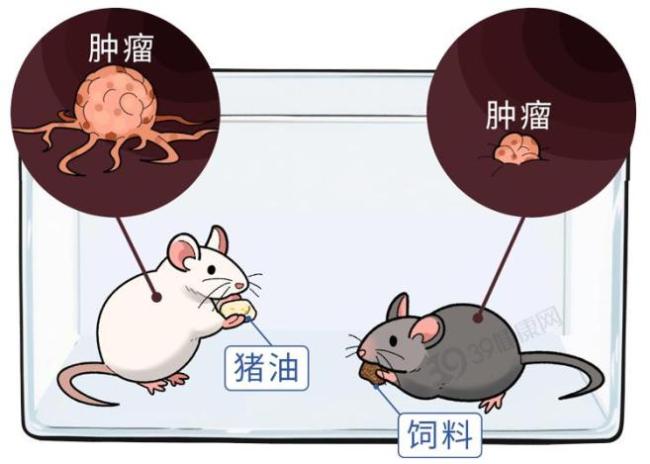 这3种常见食用油，竟是癌症催化剂！快看你家有没？