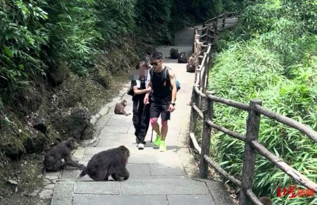 陪爬团公主抱游客登山领队发声 新兴服务引热议