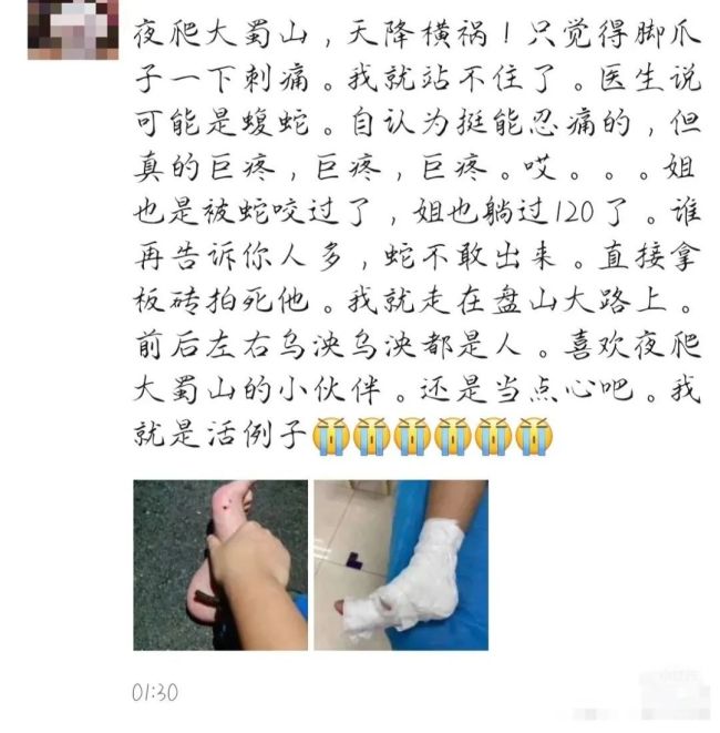 女子夜爬大蜀山被毒蛇咬伤！这种蛇善于伪装
