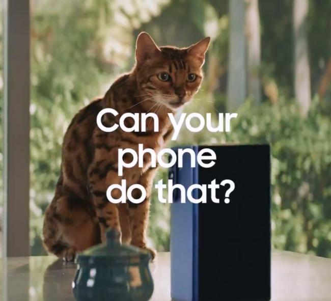 新款iPhone将面世 三星发广告调侃 猫碰即倒对决稳如泰山