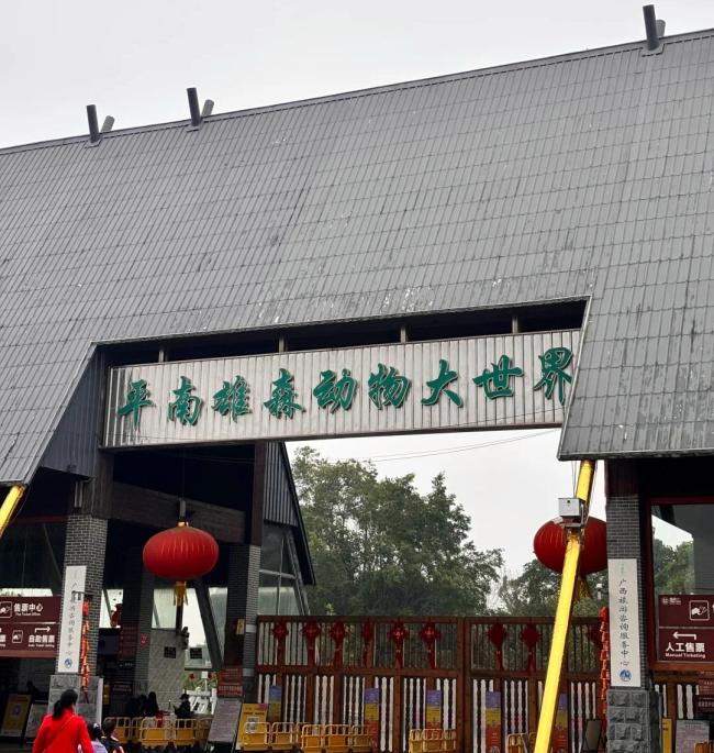 当地通报女童在动物园被幼虎咬伤 游乐项目已叫停