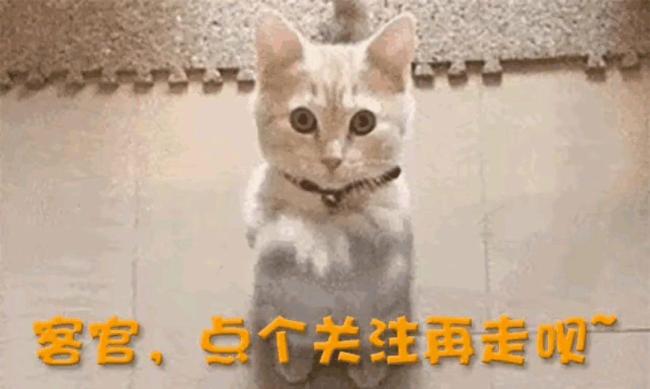 王源00后鸟巢第一人 燃爆宇宙演唱会