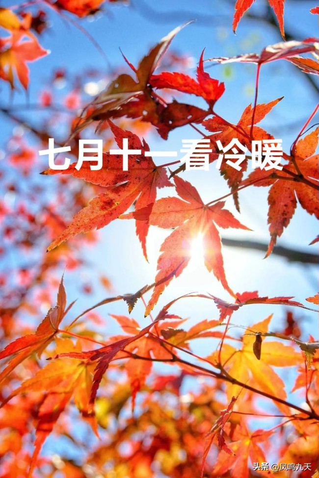 “七月十一看冷暖”今年秋老虎何时退？