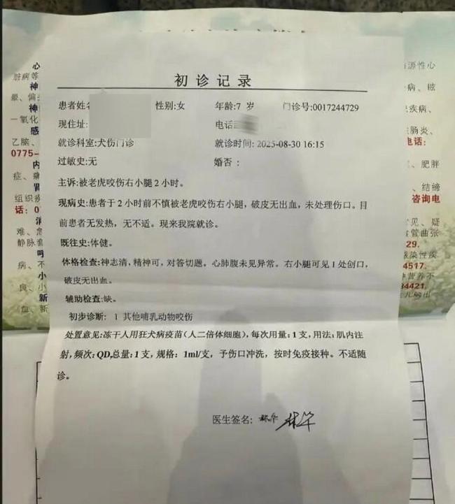 当地通报女童在动物园被幼虎咬伤 游乐项目已叫停