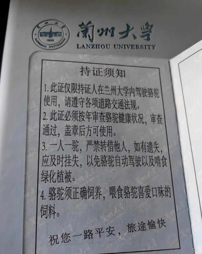 学生持证骑骆驼上学？兰州大学回应：骆驼驾驶证为兰州大学文创产品