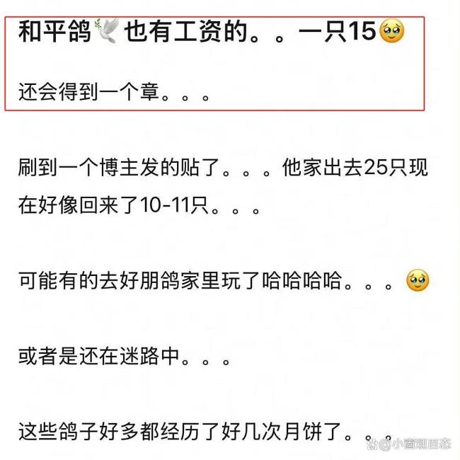 和平鸽也有工资 每只补助15块