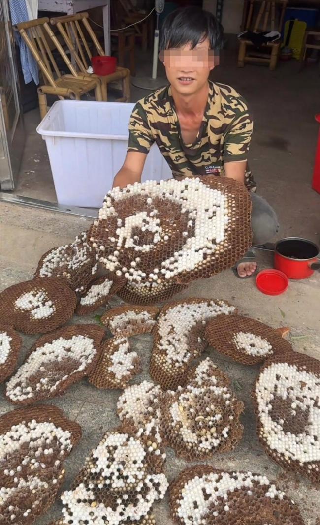 网红博主被马蜂蜇伤身亡
