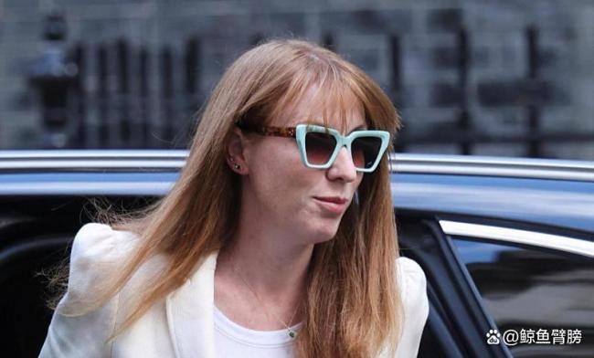 承认购房未缴足印花税，英国副首相道歉 深感懊悔并已汇报