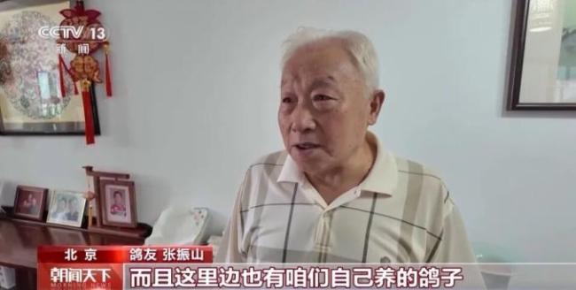 九三阅兵后和平鸽化身兵鸽鸽 信鸽归巢展现荣耀