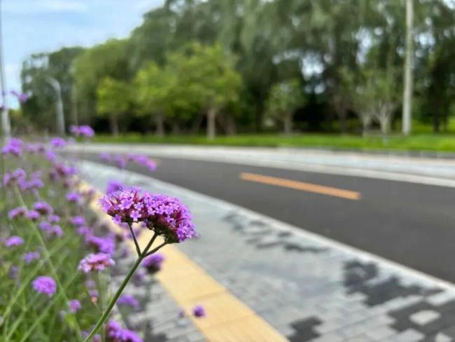 北京城市副中心这条3公里慢行道正式开放！一路穿林赏花 串联古迹与自然美景