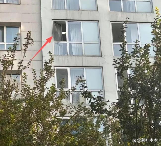 疑似于朦胧助理发文 感慨世道遗憾离世