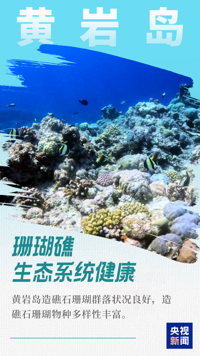 颜值实力并存！空中、水下沉浸式看黄岩岛