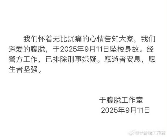 网友悼念于朦胧
