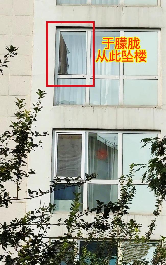 于朦胧被证据坠一火 全网惶恐窘态恻然