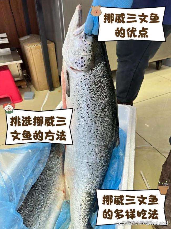 原来国产三文鱼不蘸酱才最鲜 餐桌新宠引发热议