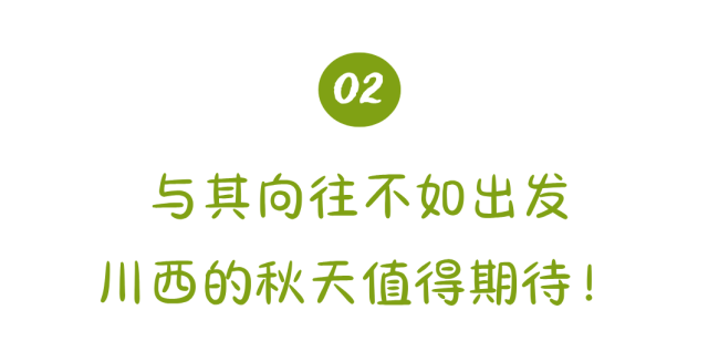 王星越又来川西自驾了 秋天的川西美如画