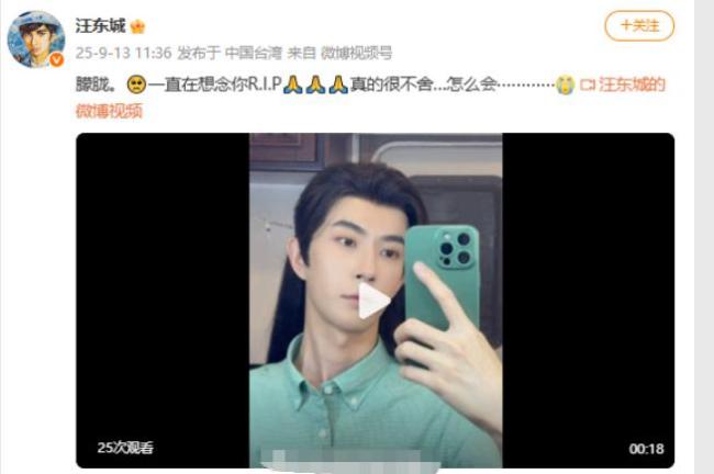 汪东城发文悼念于朦胧