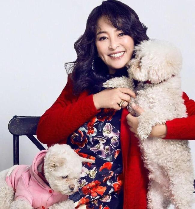 李勤勤暂未收养于朦胧爱犬，其经纪团队回应：需尊重于朦胧家属选择 等待家属意愿