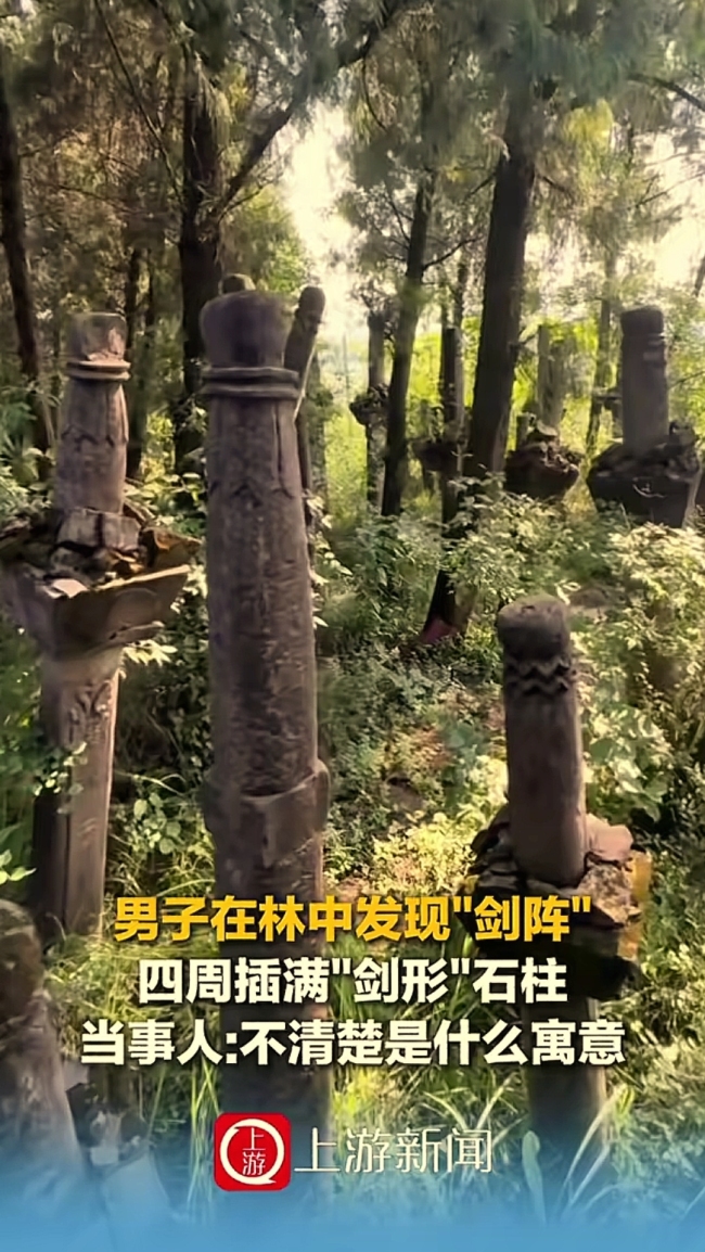 四川一男子在林中发现“剑阵”!