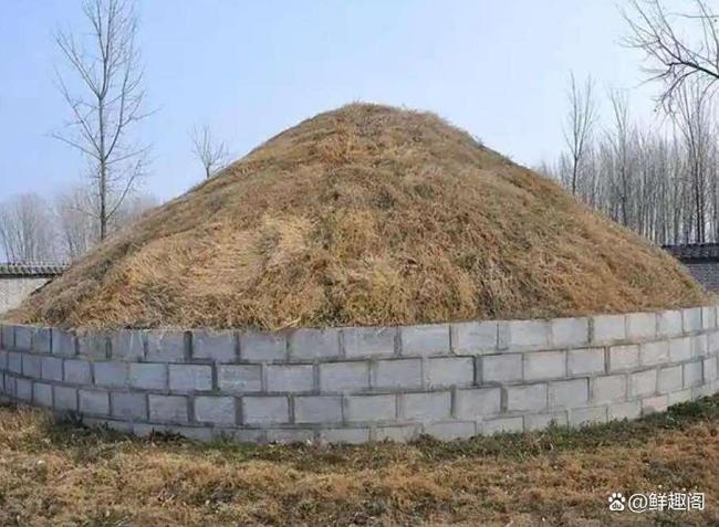 公职人员在他人耕地屡次修坟 村民维权难引发关注