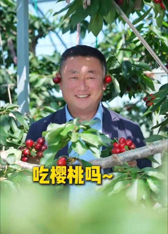 Yantai 44ͳӣҲܵУԼׯĴ񣬶