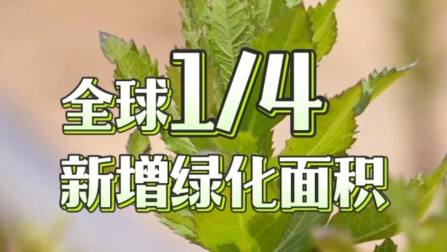 从“不毛之地”到希望之田 中国式治沙固碳又增收