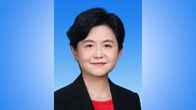 黑龙江副省长王岚履新省委宣传部长
