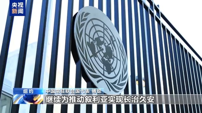 中方代表：应尊重叙利亚主权和领土完整