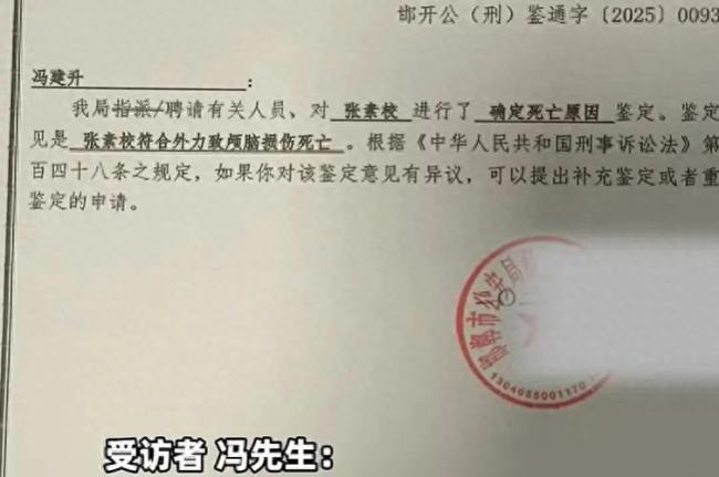 女子騎車被大狗撞倒后去世，狗主也在場(chǎng)，責(zé)任在誰(shuí)？