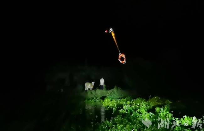 救在現(xiàn)場(chǎng)|村民放牛被困“孤島”，消防員空投救生圈順利解圍