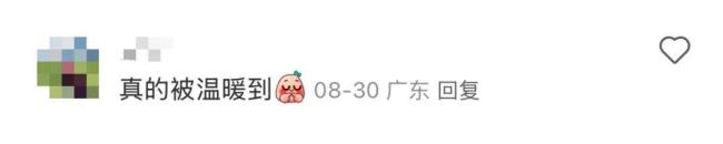 我爸给我寄了两支路边看到的花：爱与思念的传递