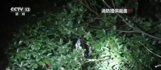 宁波一家三口夜晚爬山迷路 被安全救出 夜行需谨慎