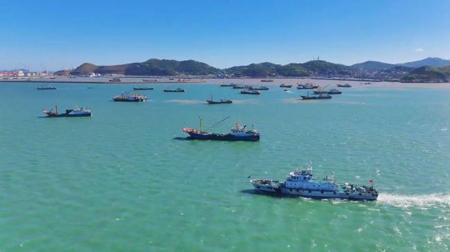 大批生猛海鲜来了！浙江又有3500多艘渔船陆续出海 东海全面开渔