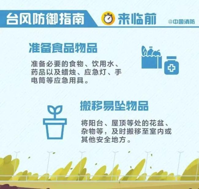 超强台风“桦加沙”来袭，鸟类如何应对风王？轻巧身体为何不会被吹跑 橘座的淡定哲学