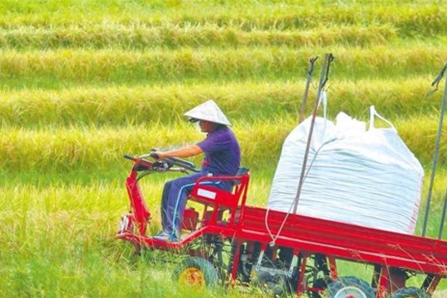 国台办回应民进党当局采购美农产品 跪美卖台损农渔业