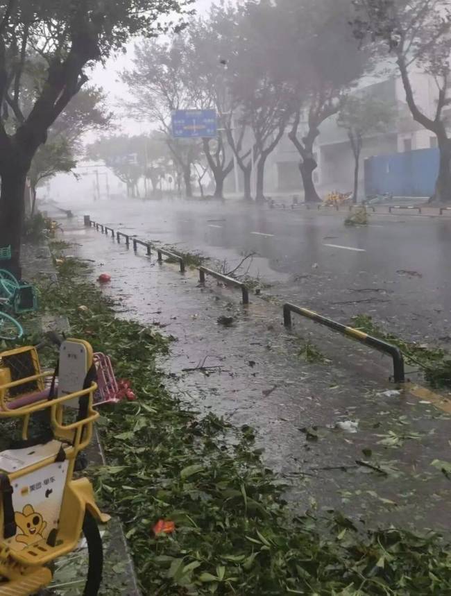 台风来袭：128斤记者持路杆直播 珠海多地风力超13级