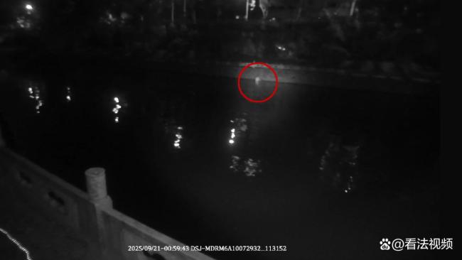 男子深夜落水 57岁民警深夜跳河救人 英勇救援彰显警察本色