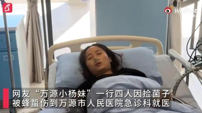 四川的许多人爬上山以捡起细菌，并被蜜蜂殖民