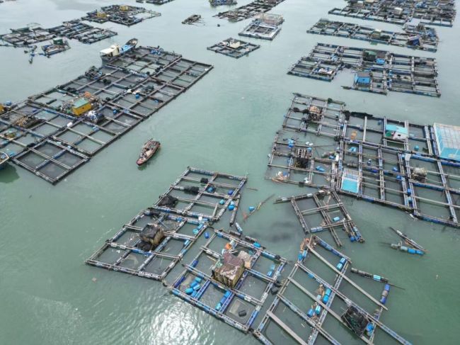 台风过境后的广东阳江：板房夷为平地，渔排受损严重