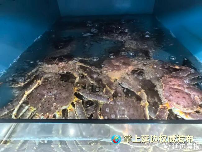 珲春口岸俄帝王蟹排队入境 为“双节”餐桌加餐