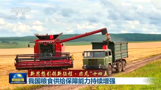 【新思想引領(lǐng)新征程·非凡“十四五”】我國(guó)糧食供給保障能力持續(xù)增強(qiáng)
