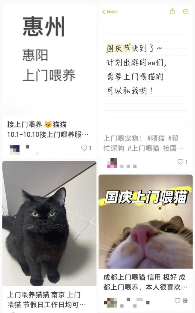 国庆期间宠物托养代喂生意火爆 需求激增供不应求