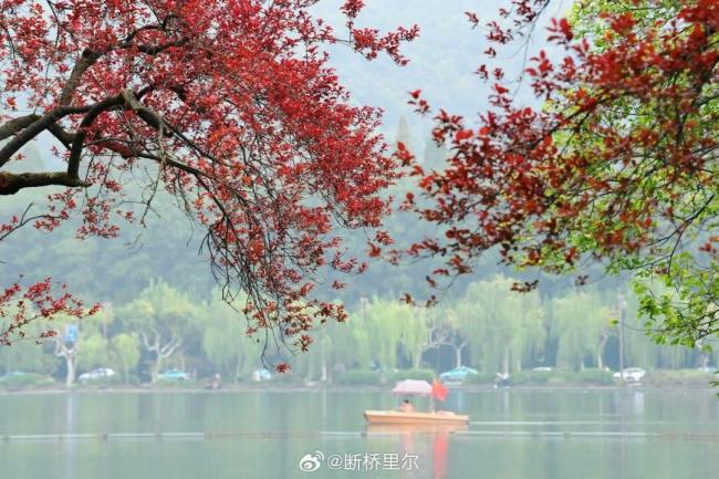 出门请带伞，今天浙江有大范围降雨