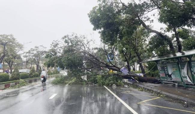 在越南“硼岛”之后，它杀死了19人，损失了21人