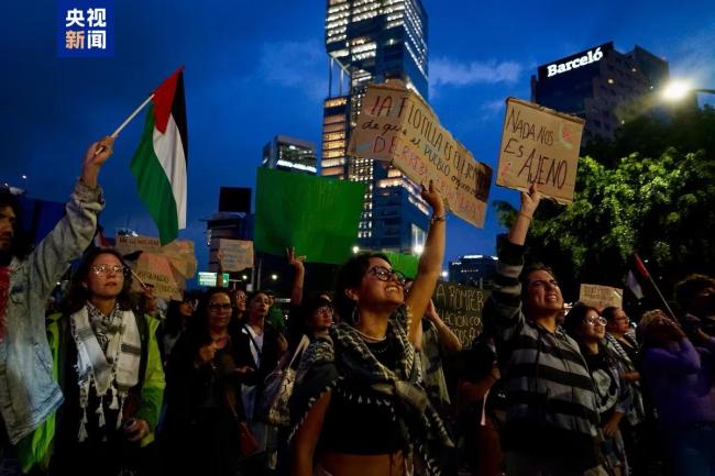 拉美多国抗议以方拦截加沙援助船队