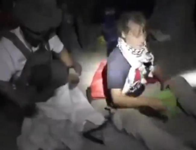 “环保少女”被以军扣押 现场曝光 突袭行动细节揭晓