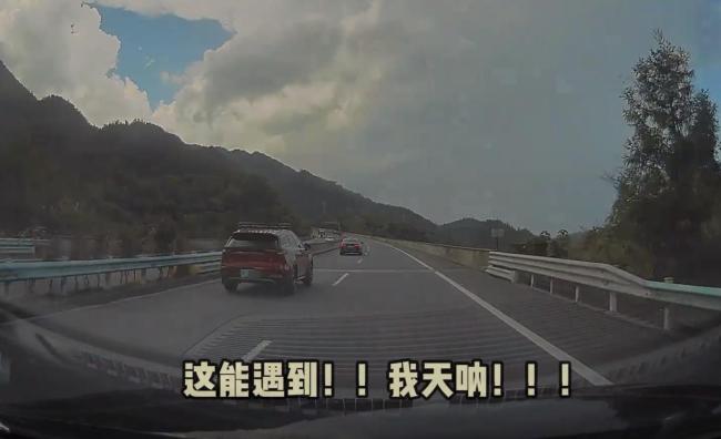 男子高速与陌生车同行900公里被送红柚