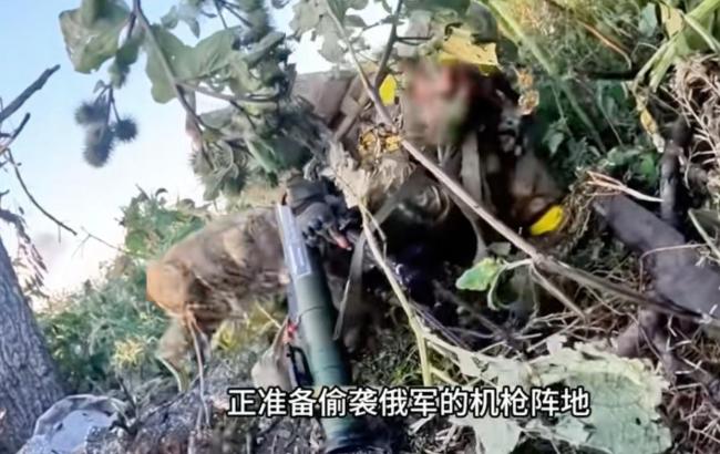 评论员：普京一句话把北约呛哑火 普京反击让特朗普哑火