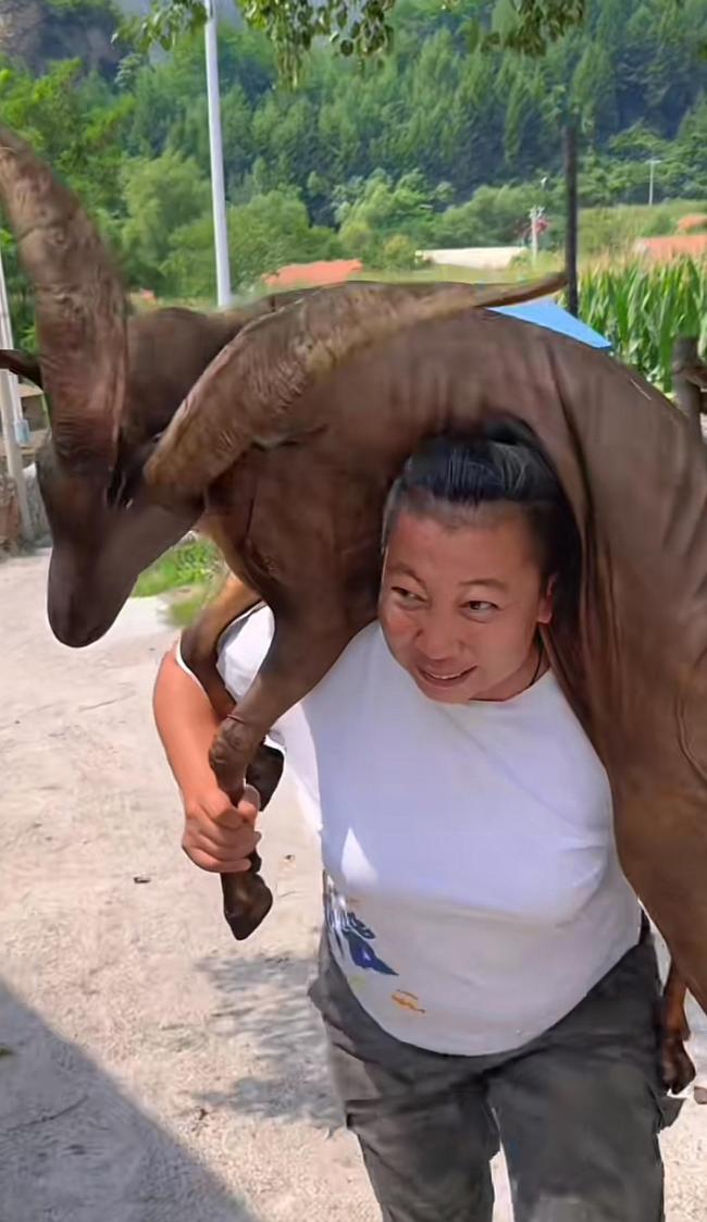 东北雨姐账号禁言将解封？多方复兴 复出时辰仍未知